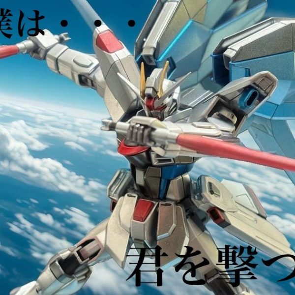 HGCE フリーダムガンダム フルメタリック塗装ver.