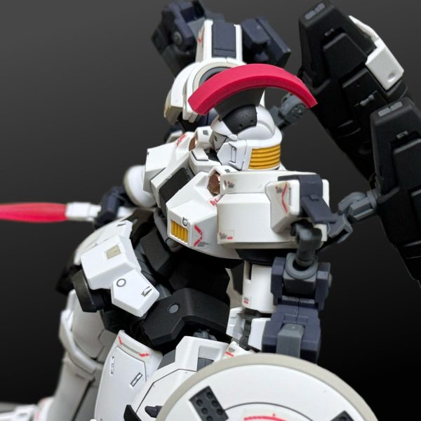 RG トールギスEW