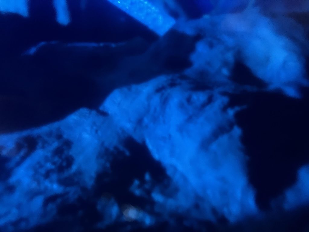 水中ジオラマ（HGUCゾック＆ゴッグ）–5枚目/制作者：いぬわし