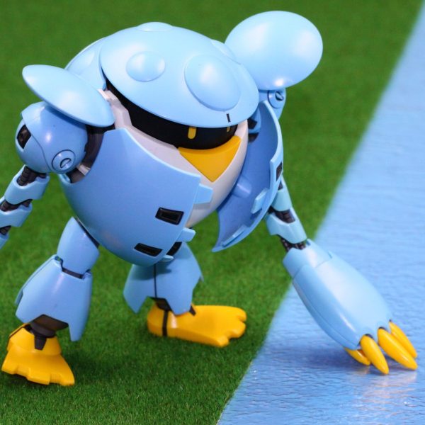 水の事故、注意（モモカプル）