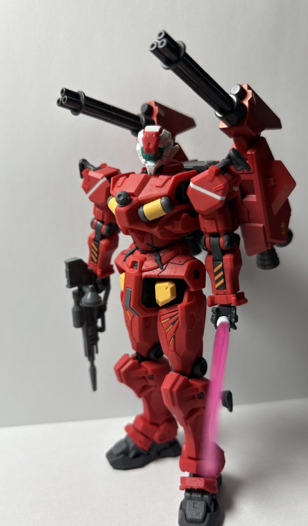 少しかっこいいようなポージングで軽キャノンのメンツを守ります