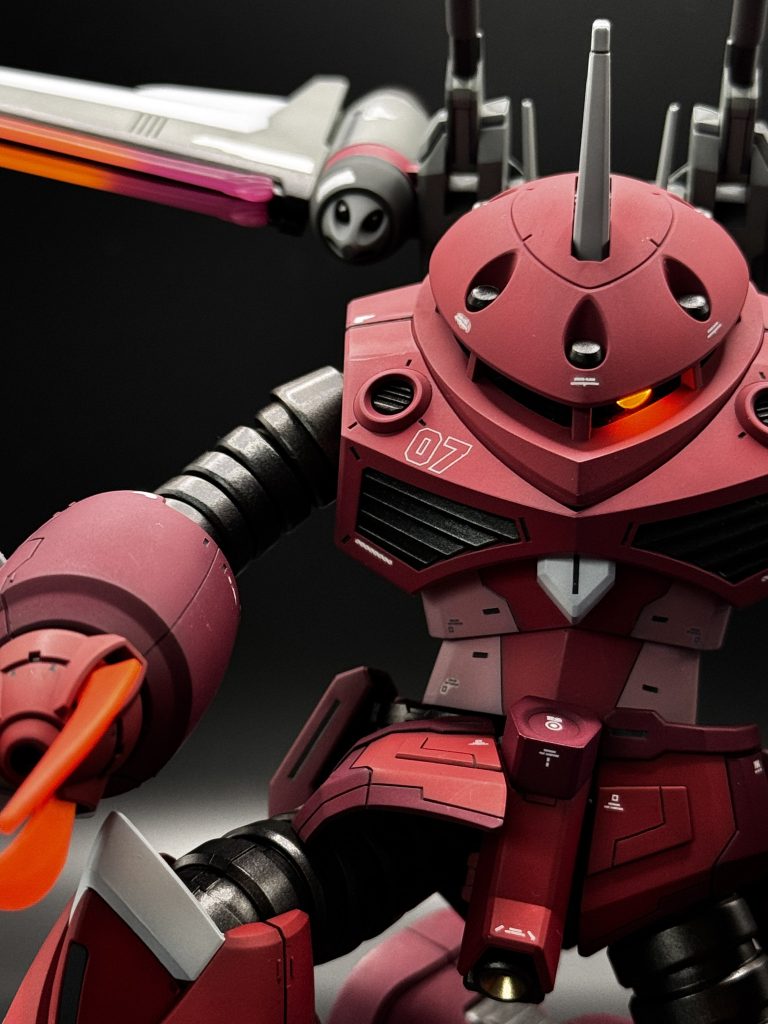 HG ズゴック(SEED FREEDOM Ver.)