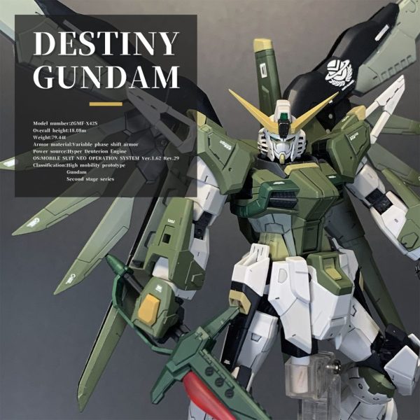 ZGMF-X42S デスティニーガンダム ミリタリーカラー RG 完成品 ZGMF-X42S デスティニーガンダム ミリタリーカラー RG 1/144｜む