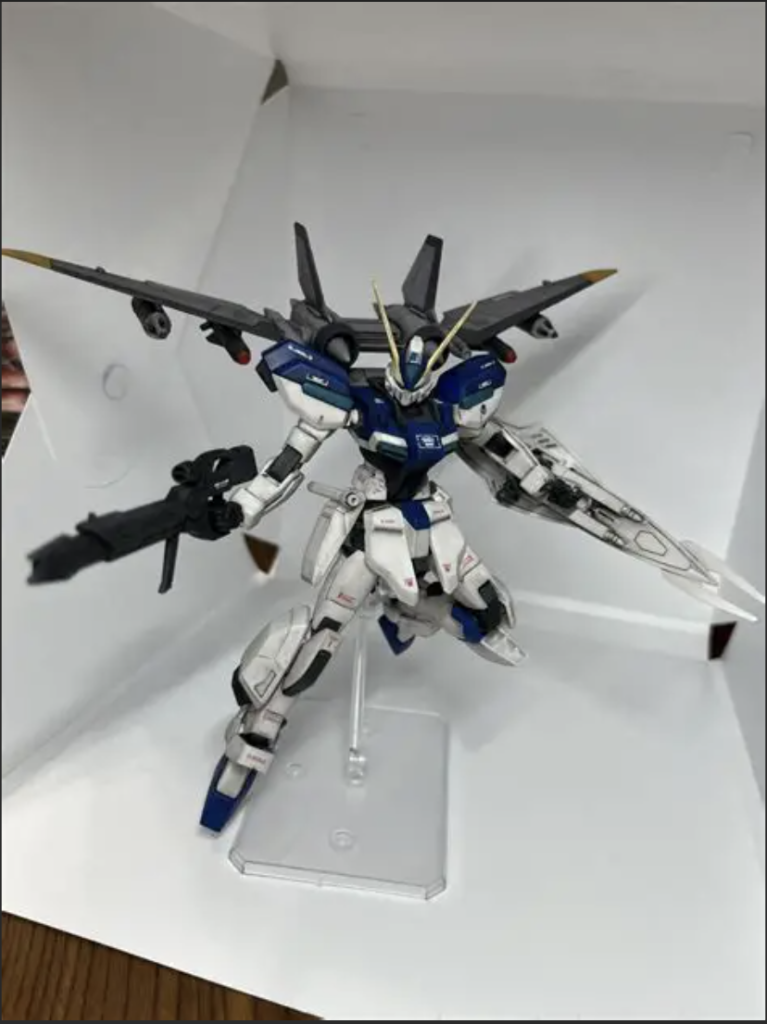 SEEDポーズのつもりです。相変わらずポーズは苦手で難しいです。