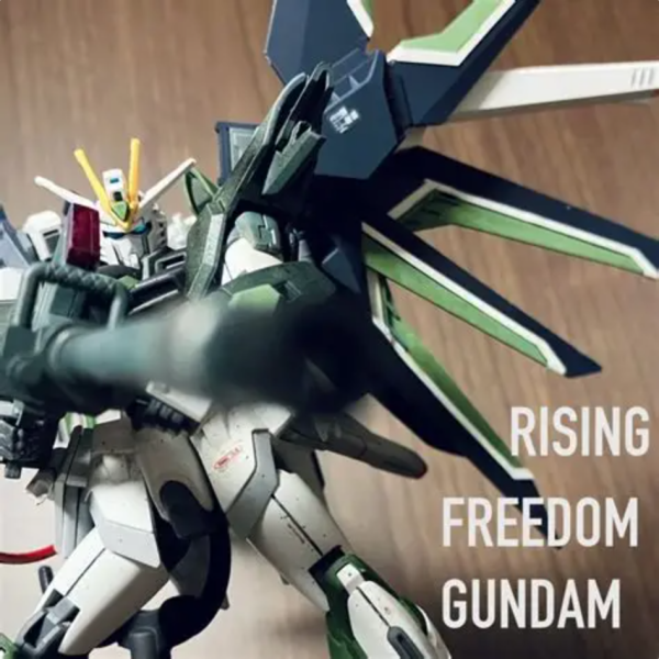 ライジングフリーダムガンダム