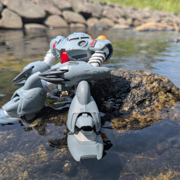 夏だからカニ撮りに川に来た