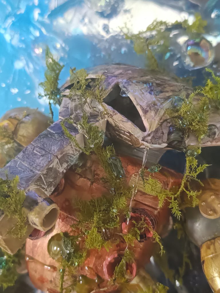 どこか淋しげな顔してます😢