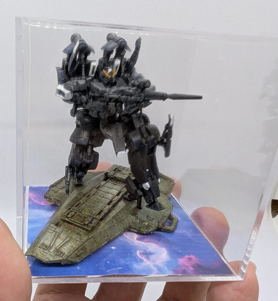 100均のクリアケースに入れた