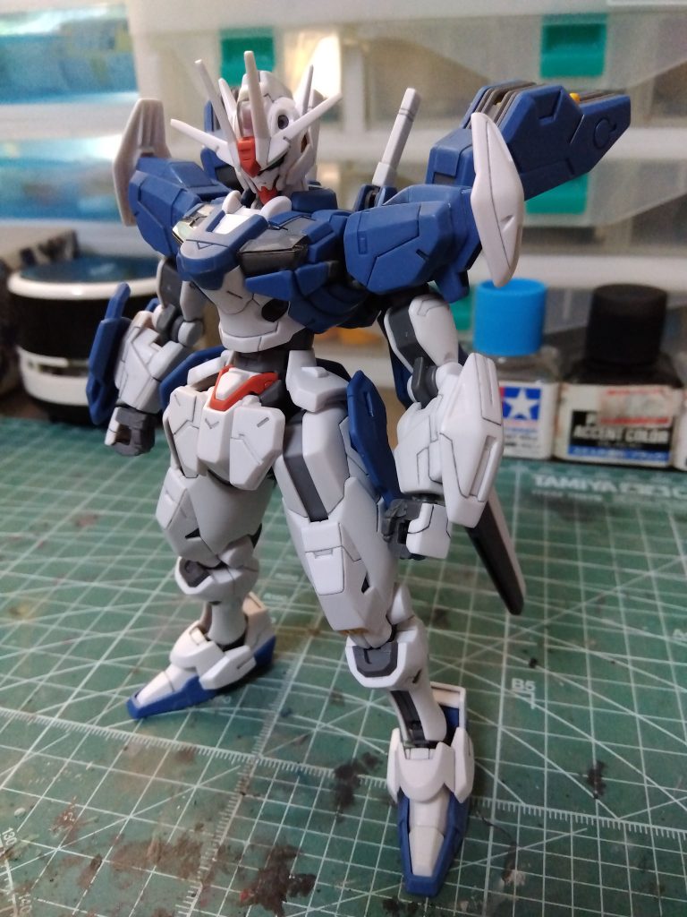 いやまあ、筋彫して表面処理して合わせ目処理して肉抜き埋めて…等の基本を徹底しました😼改造つー改造はあまりしてませぬ。