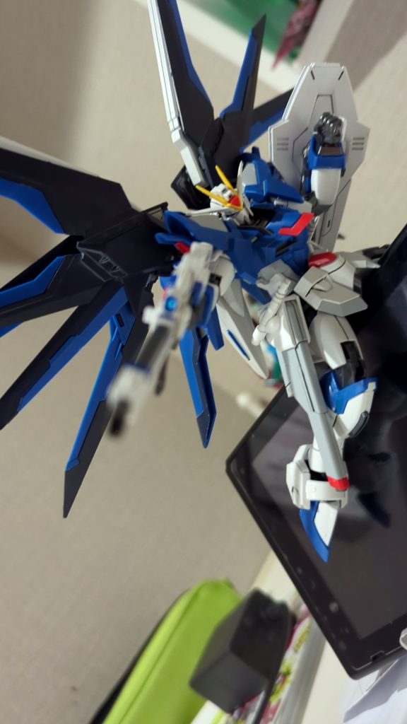 HG ライジングフリーダム（なんちゃって黒立ち上げ）