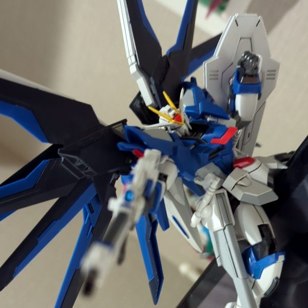 HG ライジングフリーダム（なんちゃって黒立ち上げ）