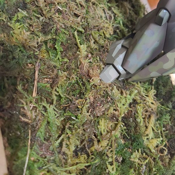 それなりにいい感じに土台が出来たと思います……ハイゴケを引きそこに水溶きボンド噴射！！！だけですが……ここに色々オブジェクトを追加したいのですが発想が貧相でスタイロフォームで岩を作り置くくらいしか思い浮かびませんなぁ…… なにかお手軽に作れるもので良いものあったらご教授頂きてぇです！