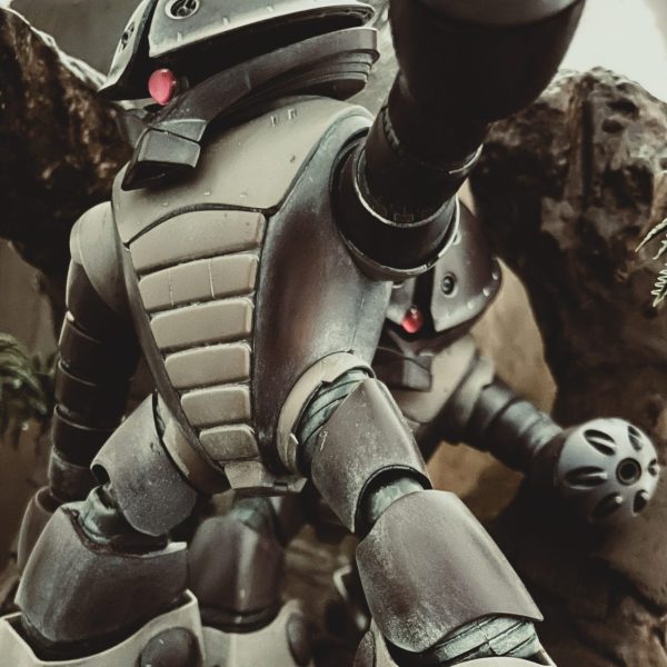 MSM-04 アッガイ ～異形の原点～