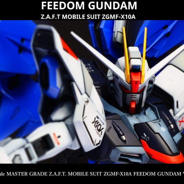 フリーダムガンダム Ver.2.0