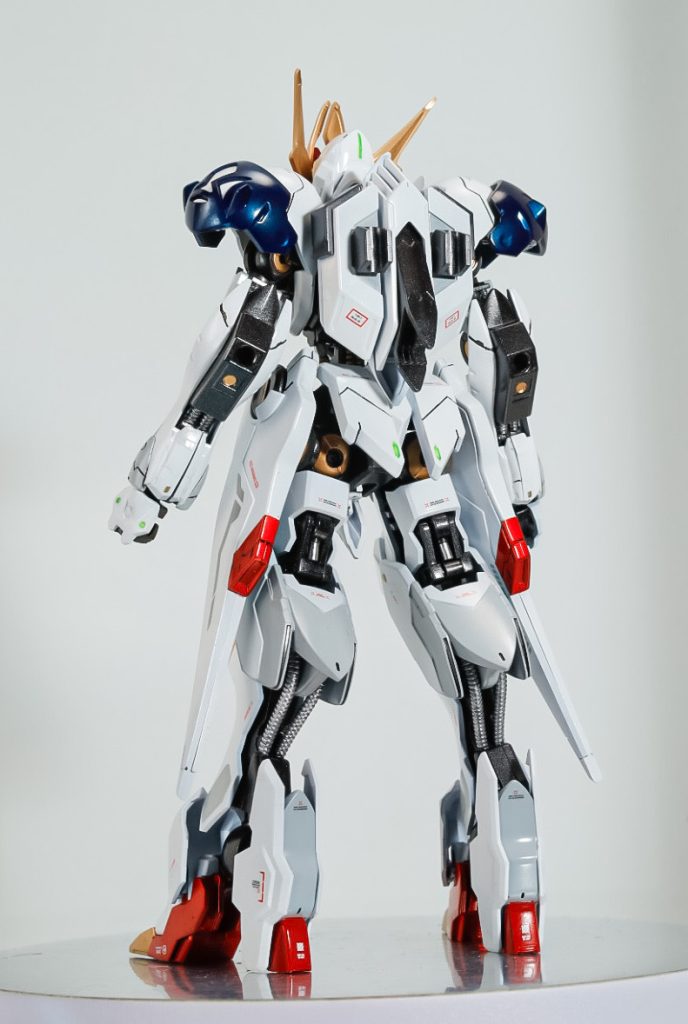 とりあえずルプスの状態でも撮っておきたかったので…