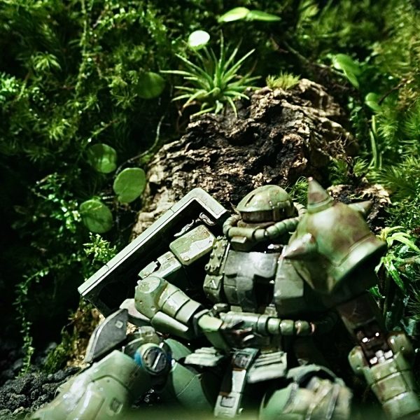 ビオラマにザク配置しました