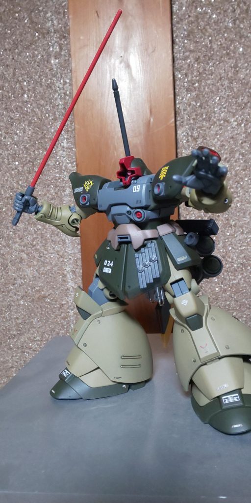 最後はドムのお決まりのポーズで。最後まで見ていただきありがとうございました。