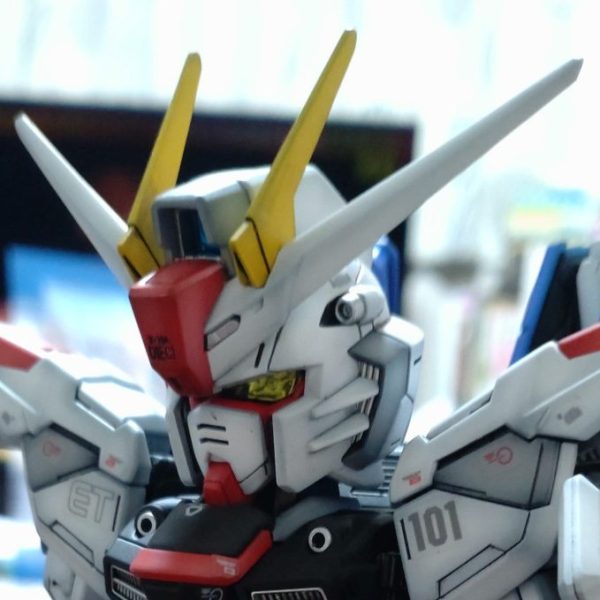 SDMG フリーダムガンダム