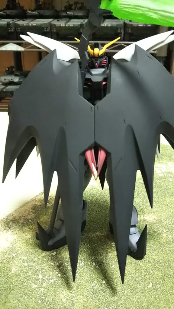 翼を閉じたところ💦