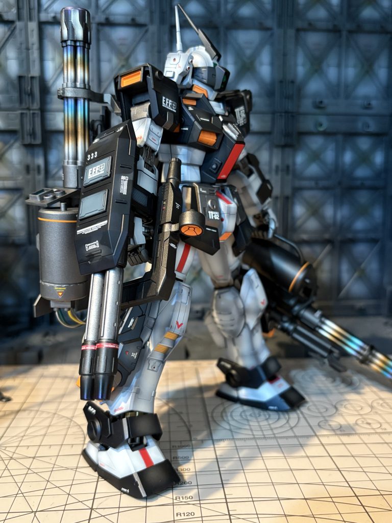 MGジムドミナンス