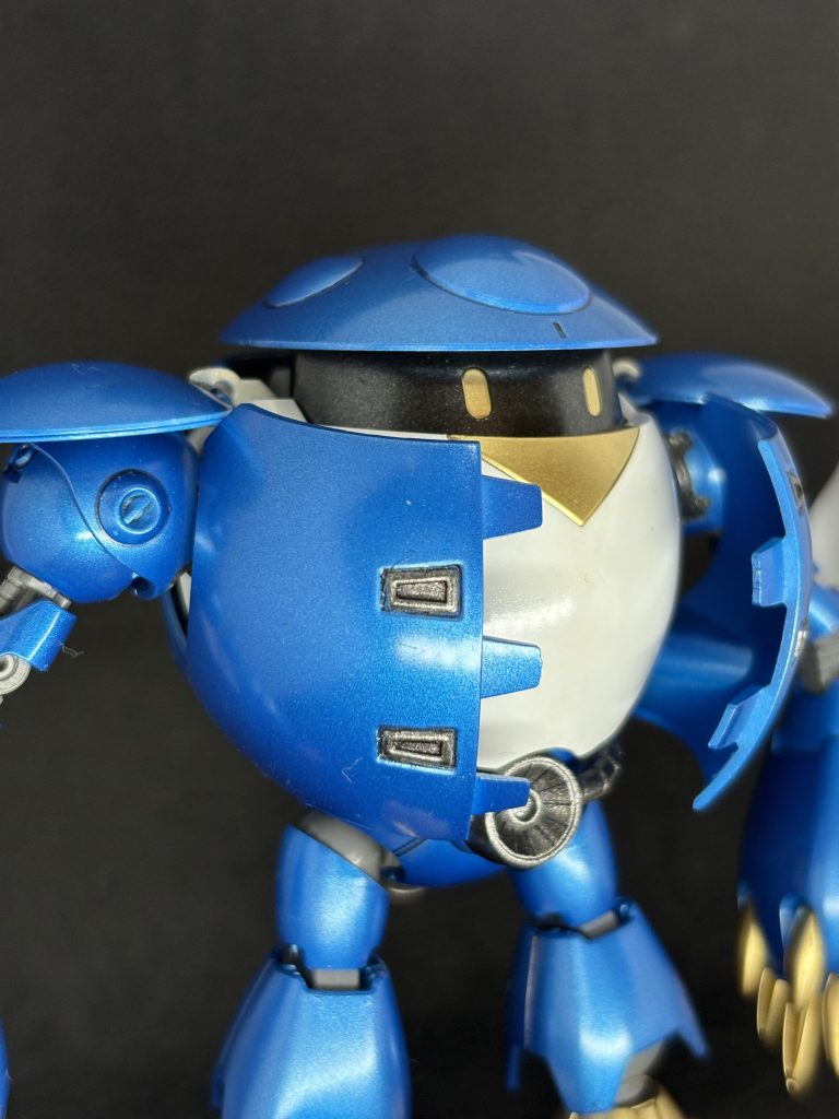 HGBD  モモカプル