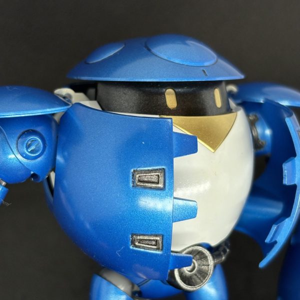 HGBD  モモカプル