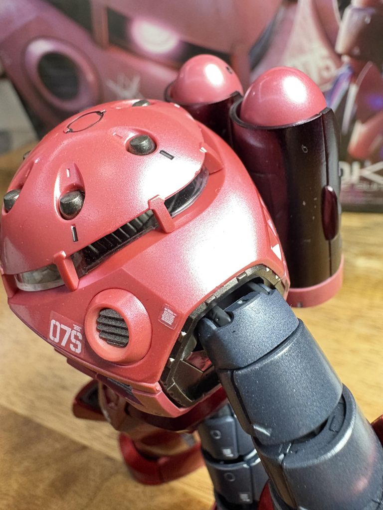 RG シャア専用ズゴック–5枚目/制作者：なおきんぐ@インド