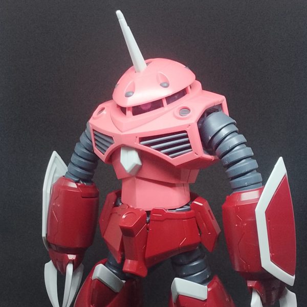 HGズゴック(SEEDFREEDOMＶｅｒ．)