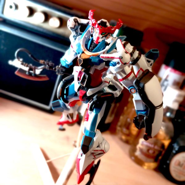 ジークアックス HG　これでもう良いでしょ仕様