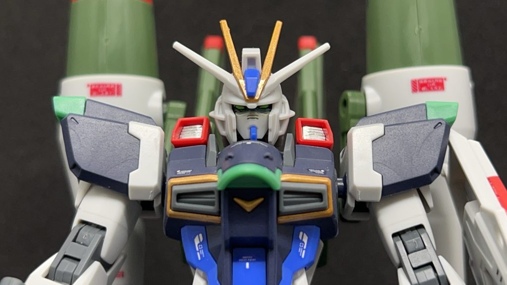 seed感ある顔付きです。