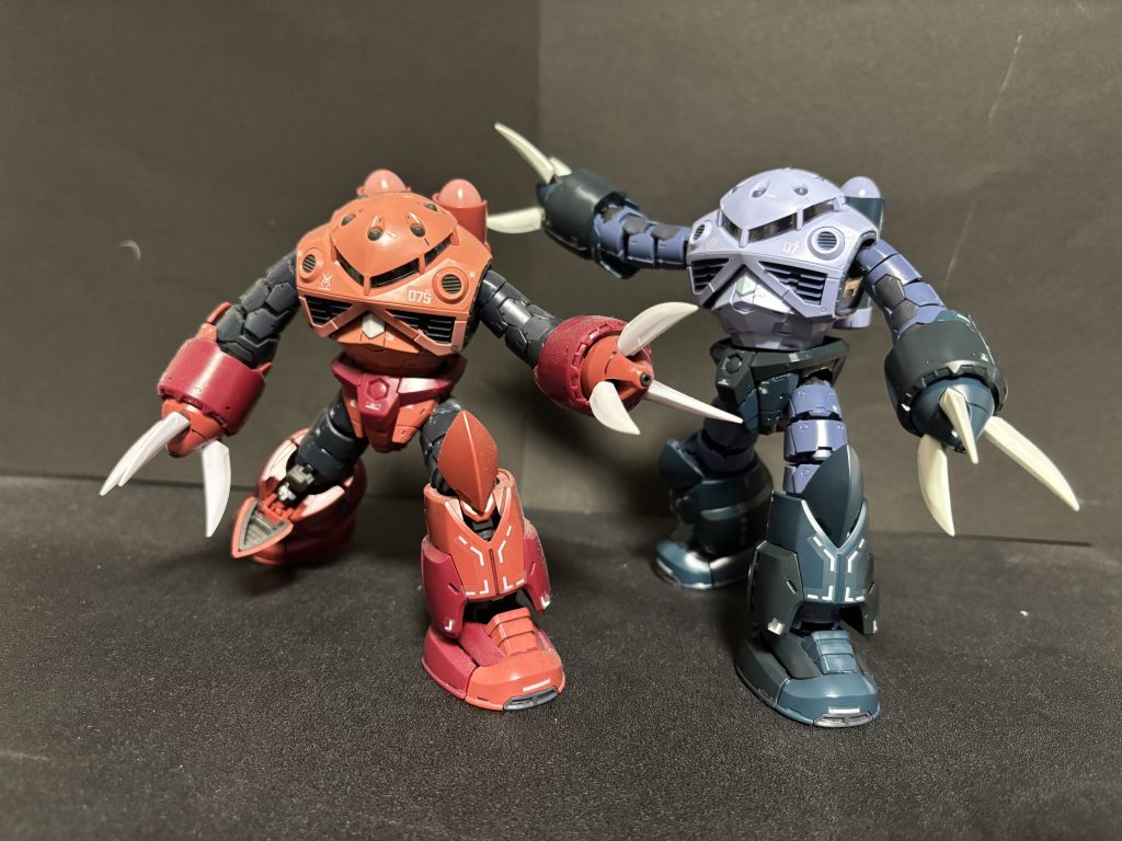 シャア専用ズゴックと共に。