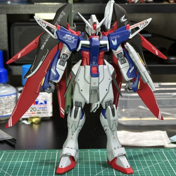 HG デスティニーガンダムspecⅡ