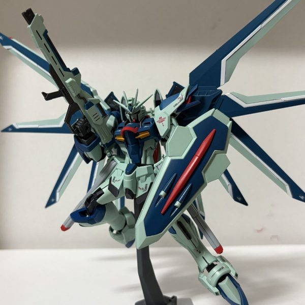 ガンプラ一番くじ ライジングフリーダム C賞 D賞 G賞 ガンプラくじ C賞 HG ライジングフリーダム ソリッドクリアーVer