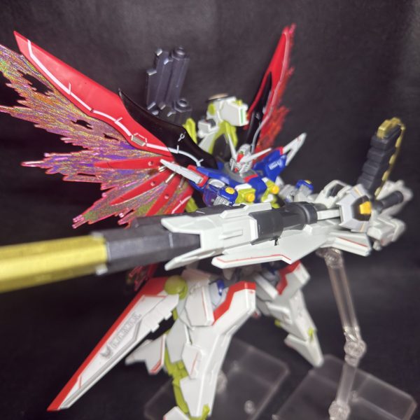 HG ディスティニーSpecⅡ ＆ ゼウスシルエット