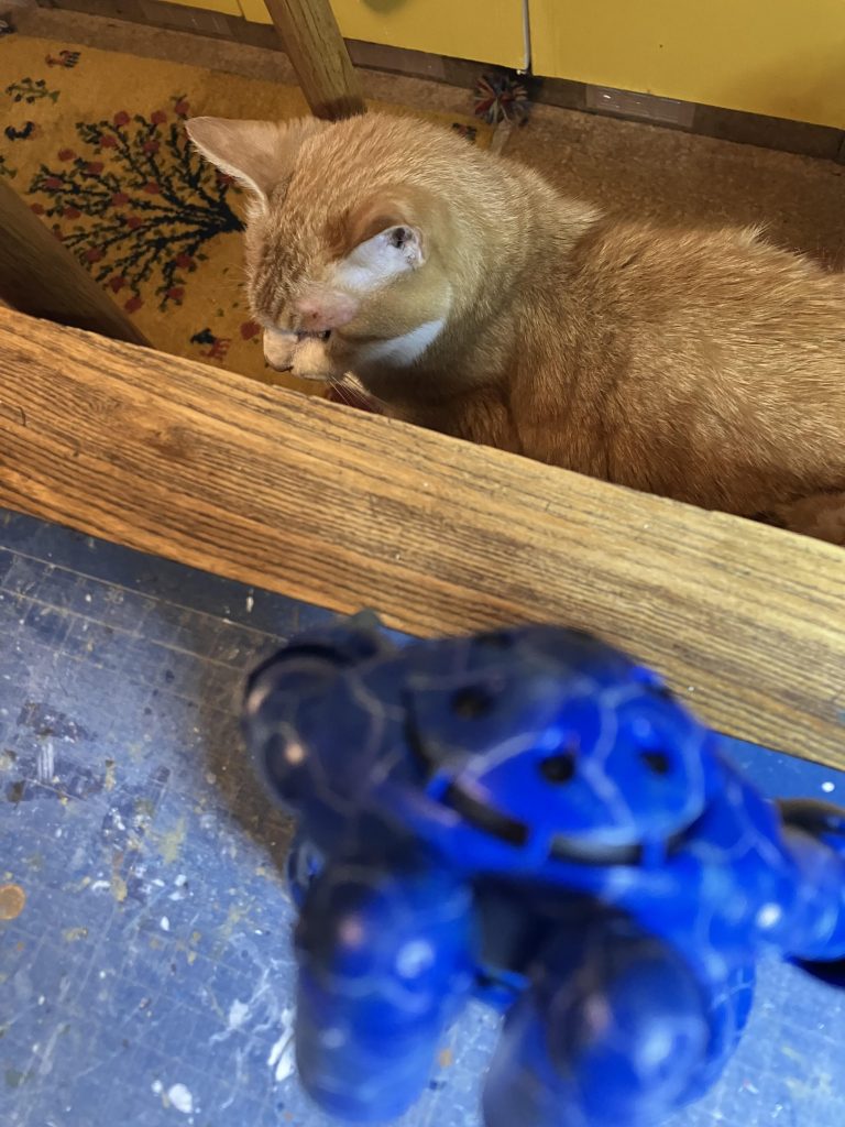 最後まで、ご覧いただきありがとうございましたm(_ _)m