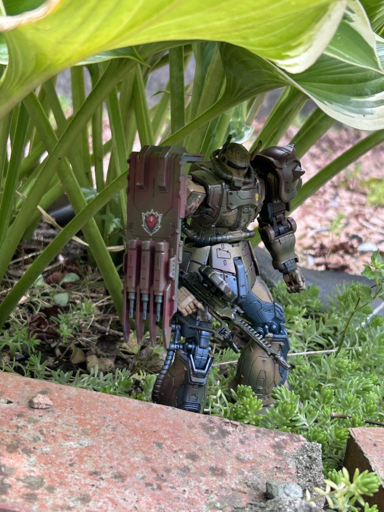 せっかくなので、草むらに