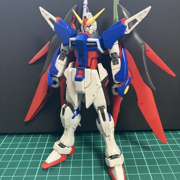 HGCE デスティニー