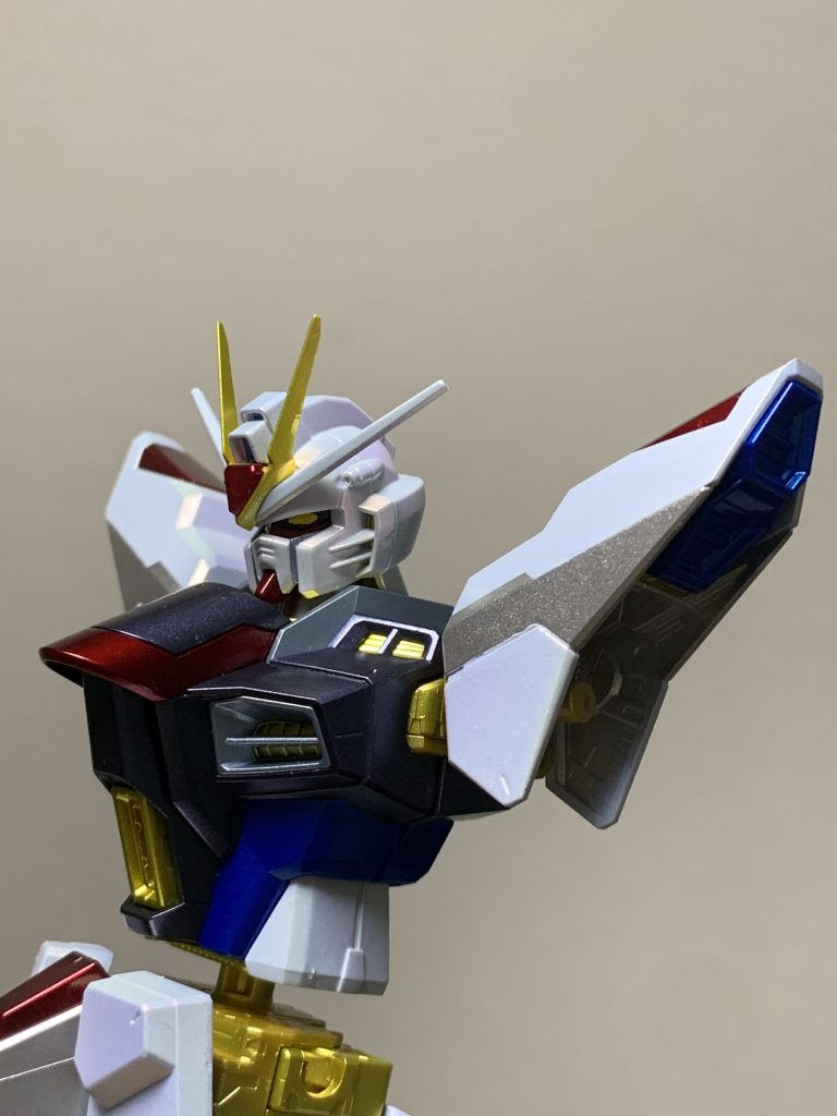 全塗装　MGストライクフリーダムガンダム
