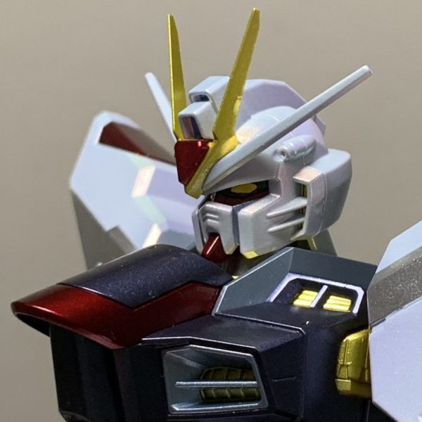 全塗装　MGストライクフリーダムガンダム