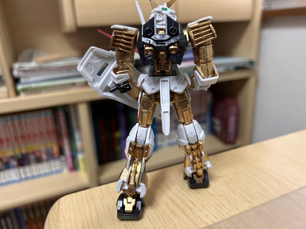 ほんと時間がなくて墨入れもできなかった泣　　時間が出来次第やろうと思いますともあれいいですねぇ背面最高っすね笑