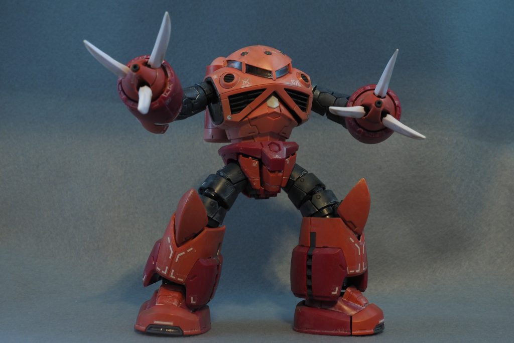 RGシャア専用ズゴック　成形色簡単仕上げ–9枚目/制作者：kamiyashiro-i