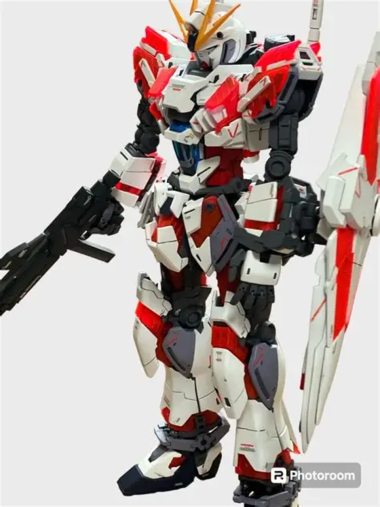 鮭の切り身にしか見えないんです