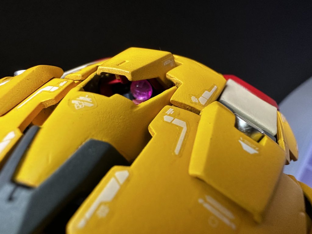 ん、コイツ複眼ではないのか?