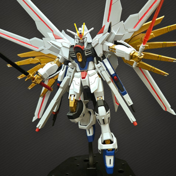 塗装完成品 RG フリーダムガンダム ジャンク品 ジャンク品rgストライクフリーダム｜kaihaさんのガンプラ作品