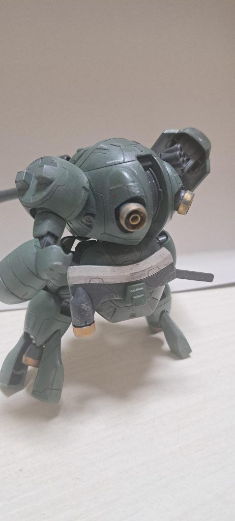 後ろ姿。こんな風貌のためにちょっと可愛くも思えます。