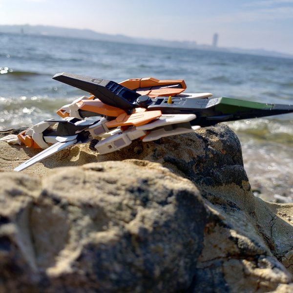 遅れてきた夏休み