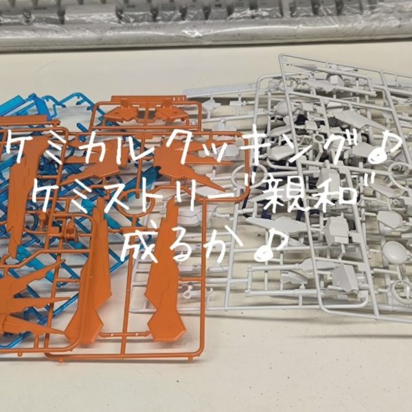 [白化]予想出来うる予定外の化学反応〜さて親和成るかな〜
