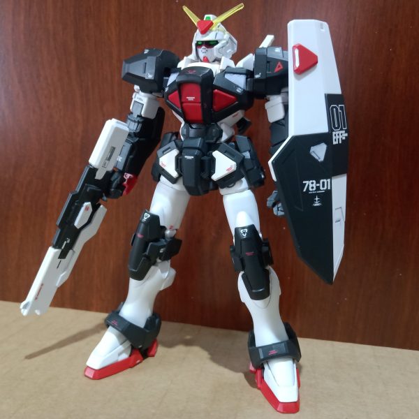 ビギニングDガンダム RX-78-1カラー