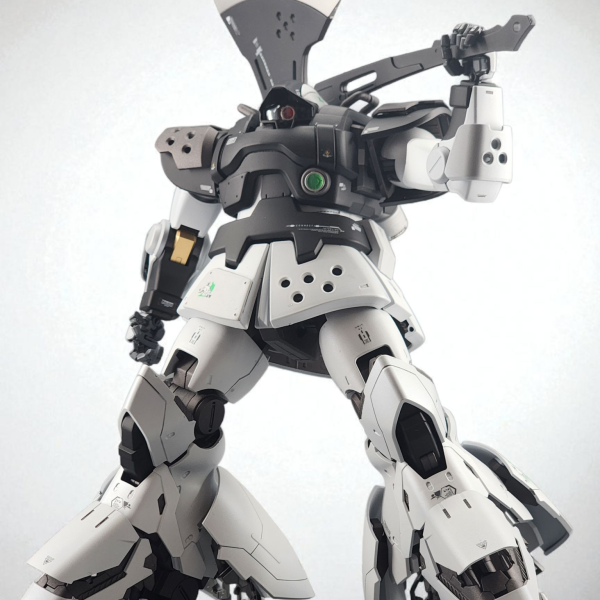 マツナガ専用高機動試験型リック・ドム