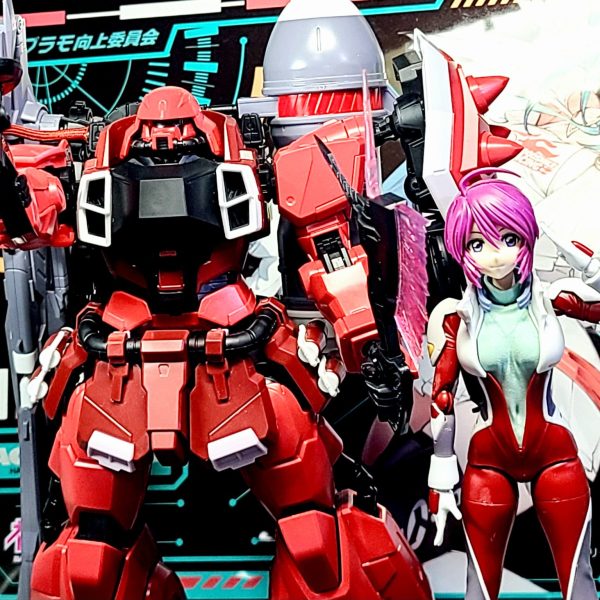 ガナーザク・ウォーリアとルナマリアを素組。シンプルながら作っていて楽しく保持力もちゃんとあるので武器も持たせやすいです。（1枚目）